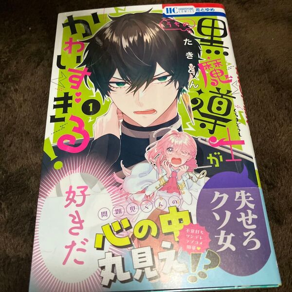 うちの黒魔導士がかわいすぎる! 1 (花とゆめCOMICS) たきどん/著