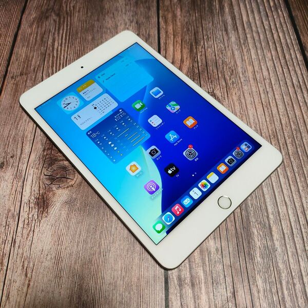 iPad mini 第5世代 256GB シルバー 美品