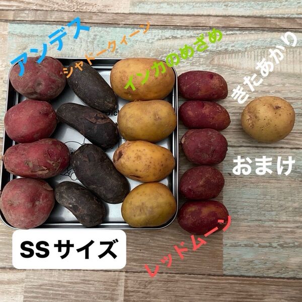 じゃがいもSSサイズ 5種17個セットにおまけ1個