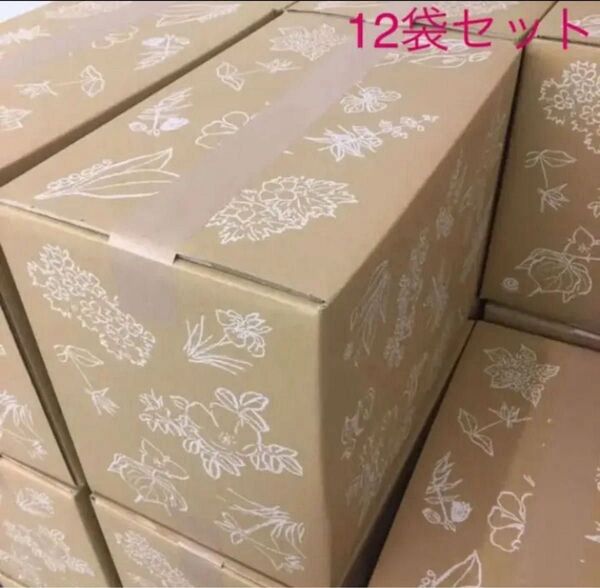 六花亭 無添加 ポテトチップス 1箱(12袋) セット