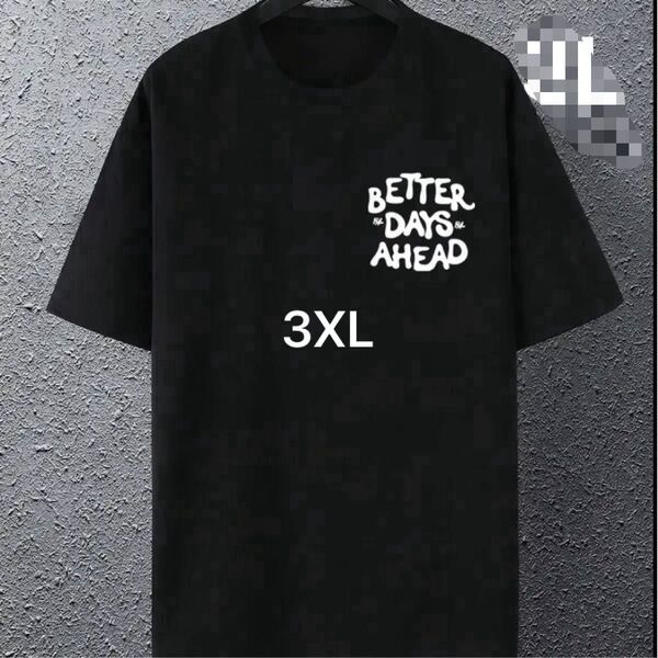 Tシャツ 半袖 黒 ブラック色 オーバーサイズ メンズ&レディース 大きめサイズ 半袖Tシャツ 3XL 優しい肌触り サラサラ生地