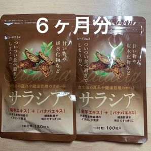 サラシア 3ヶ月分×2袋 シードコムス ダイエットサプリメント 健康食品 菊芋エキス バナバエキス 健康管理 国内製造 ダイエット
