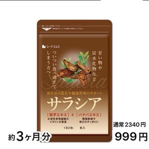 サラシア サプリメント サプリ 3ヶ月分 1袋 180粒入り ダイエット サラシア 炭水化物 菊芋エキス バナバエキス 健康管理