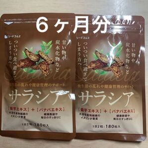 サラシア 3ヶ月分×2袋 ダイエット サプリメント 健康食品 菊芋エキス バナバエキス 健康管理 国内製造 ダイエット