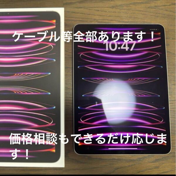 iPad Pro 11インチ (第4世代)M2 128GB Wi-Fi スペースグレー 少し訳あり品 美品 おまけあり