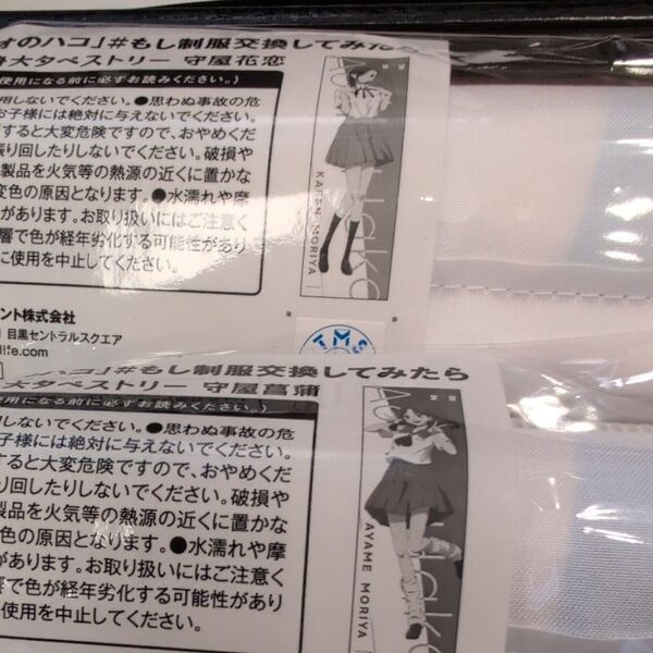 アオのハコ くじラック C賞 守屋花恋 D賞 守屋菖蒲 ほぼ等身大タペストリー 未開封セット
