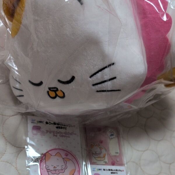 ねこに転生したおじさん WEBくじ ラストWIN賞 ラストワン ぬいぐるみ てぷちゃん アクリルスタンド アクリルキーホルダー