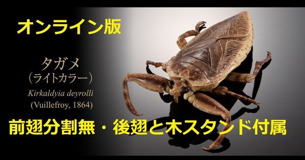 いきもの大図鑑アドバンス タガメ(ライトカラー)オンライン版 付属品完備