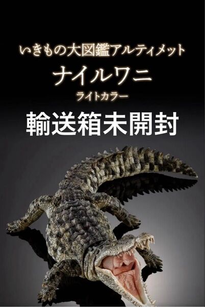 いきもの大図鑑アルティメット最上級ラインのナイルワニ(ライトカラーver)