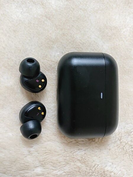 final ZE500 for ASMR Patra Black 周防パトラ 中古