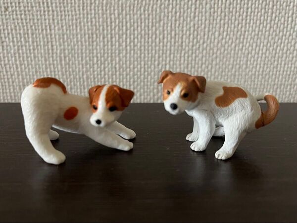 ジャックラッセルテリア 2個セット フィギュア ガチャ ふり向けば君が犬 ふんばり〜ぬ