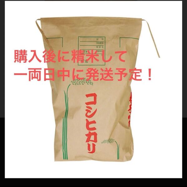 令和6年 群馬県産 コシヒカリ 玄米5kg 購入後に精米します。