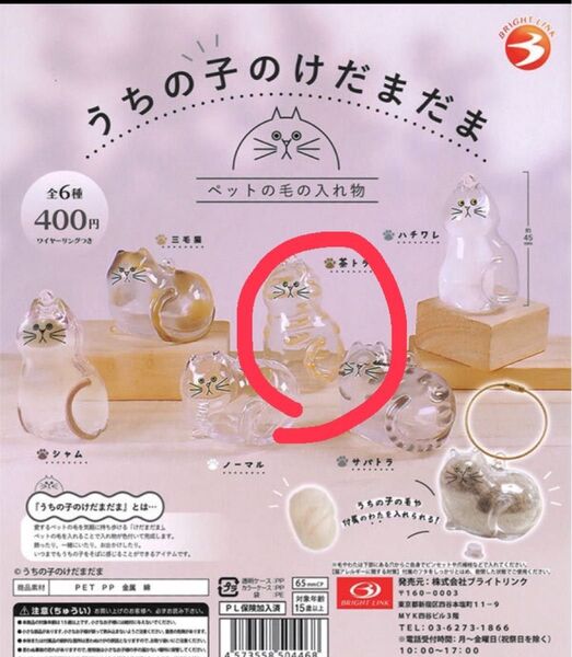 【新品未使用】 うちの子のけだまだま ガチャ 茶トラ