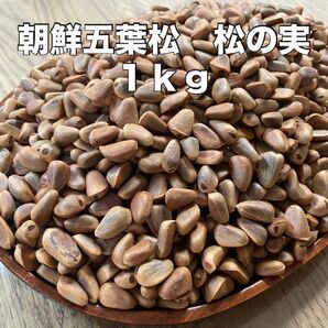 朝鮮五葉松 松の実 1kg 北海道産