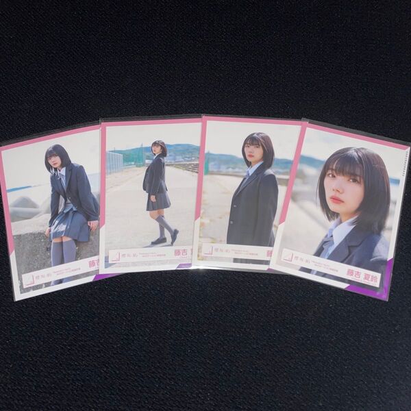 櫻坂46 藤吉夏鈴 「Nobody’s fault」MVロケーション衣装 ノバフォ 生写真 コンプ