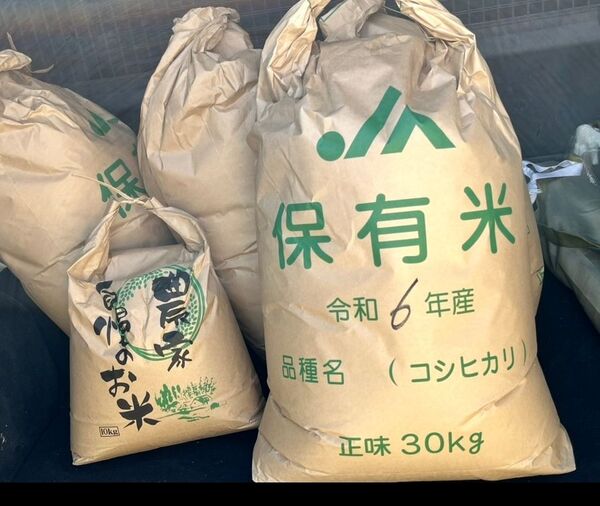 【本日限り】令和6年収穫 コシヒカリ玄米
