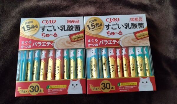 いなば ちゅーる すごい乳酸菌ちゅ~る CIAO すごい乳酸菌ちゅーる 猫 まとめ売り 60本 まぐろかつおバラエティ 国産品