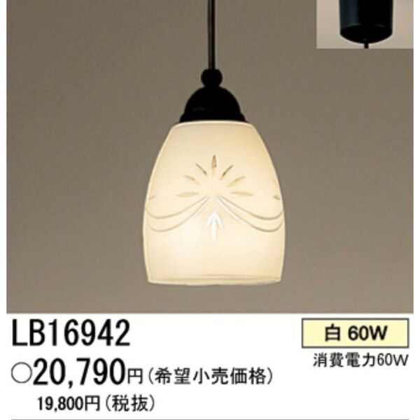 Panasonic パナソニック ペンダント照明 天井照明LB16942LED電球付き