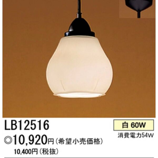Panasonic パナソニック ペンダント照明 天井照明LB12516LED電球付き
