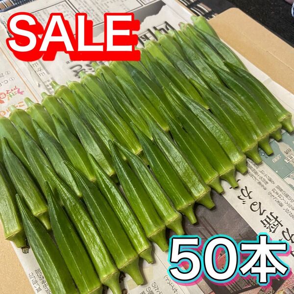 高知県産オクラ 新鮮おくら 即購入OK 産地直送 野菜50jmag