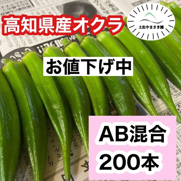 高知県産オクラ 新鮮おくら 即購入OK 産地直送 野菜200jgmat