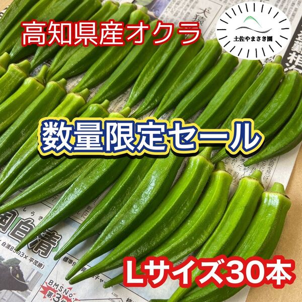 高知県産オクラ 新鮮おくら 即購入OK 産地直送 野菜l30wmjpt