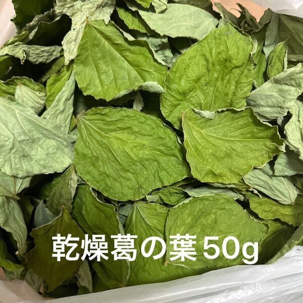 乾燥葛の葉 50g S〜Mサイズ 岐阜県産 無農薬 草食動物のおやつ