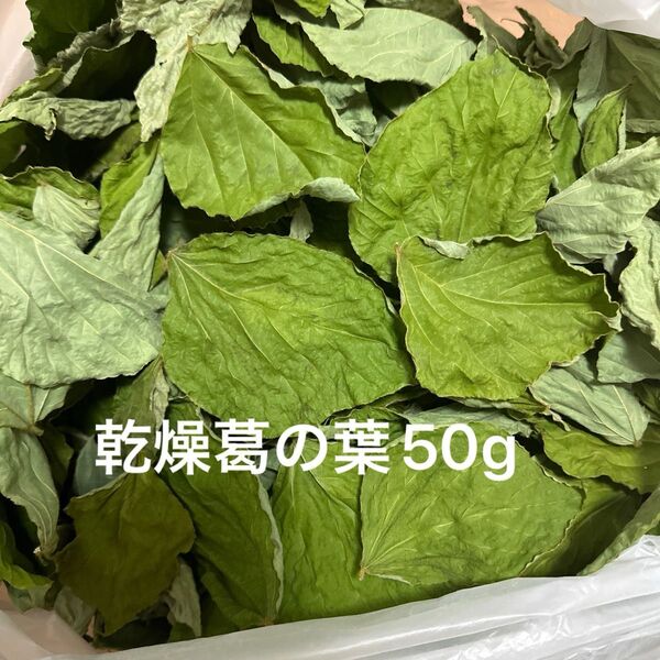 乾燥葛の葉 50g S〜Mサイズ 岐阜県産 無農薬 草食動物のおやつ