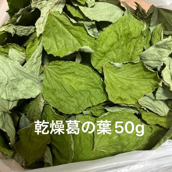 乾燥葛の葉 50g S〜Mサイズ 岐阜県産 無農薬 草食動物のおやつ
