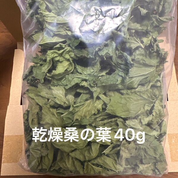 乾燥桑の葉40g 岐阜県産 無農薬 ペットのおやつ 在庫無くなり次第終了