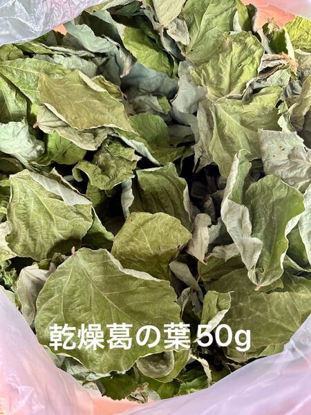 乾燥葛の葉 50g S〜Mサイズ 岐阜県産 無農薬 草食動物のおやつ