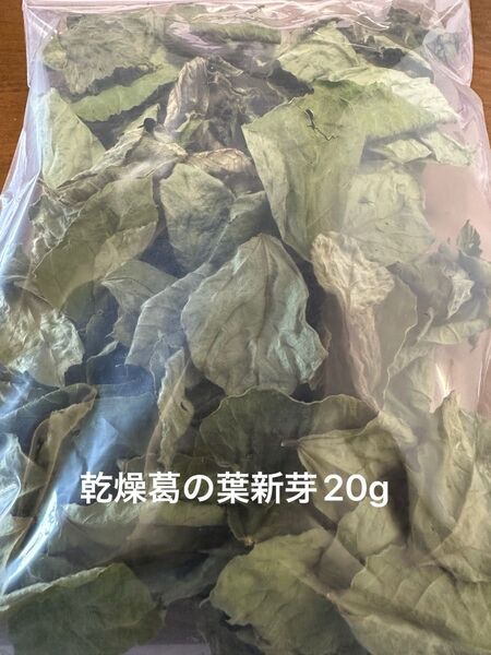 乾燥葛の葉新芽20g 岐阜県産 無農薬 草食動物のおやつ