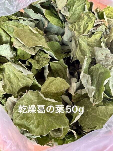 乾燥葛の葉50g S〜Mサイズ 岐阜県産 無農薬 草食動物のおやつ