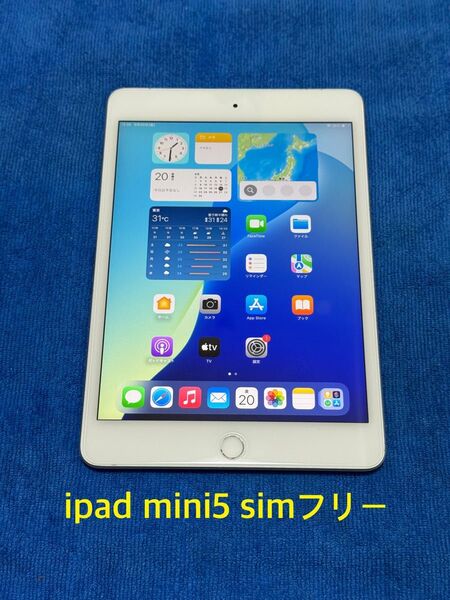 iPad mini 第5世代 Wi-Fi+Cellular 64GBシルバー12