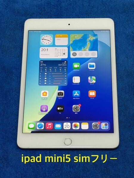 iPad mini 第5世代 Wi-Fi+Cellular 64GBシルバー14