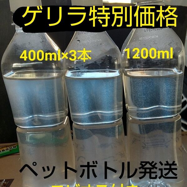 魚のエサ 1200ml 。(400ml×3本)ゾウリムシ ペットボトル発送。メダカ 金魚 めだか エサ ミジンコ