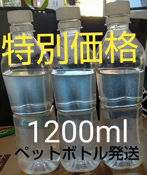 魚のエサ 1200ml。ペットボトル発送。ゾウリムシ メダカ 金魚 めだか エサ ミジンコ グリーンウォーター PSB