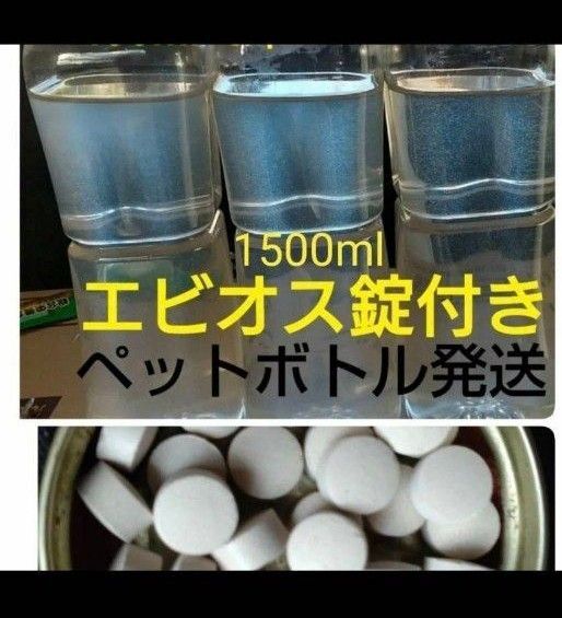 魚のエサ 1500mlと培養錠30錠。ゾウリムシ ペットボトル発送。メダカ 金魚 めだか ミジンコ PSB エビオス錠 エビオス