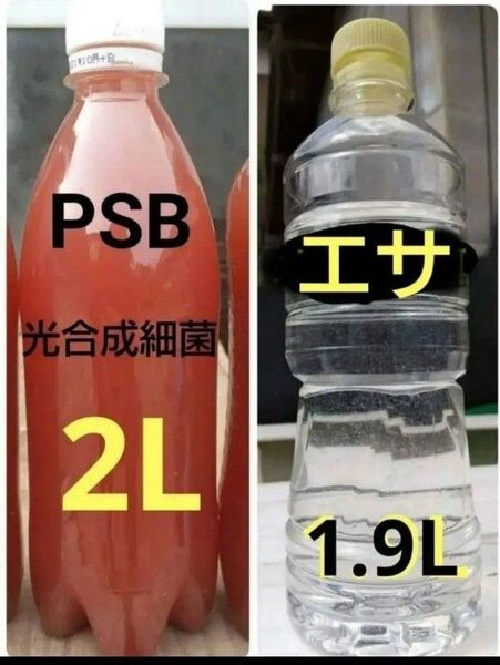 魚のエサ 1900ml & PSB(光合成細菌) 2000ml 。ゾウリムシ メダカ 金魚 ミジンコ らんちゅうエサ めだか