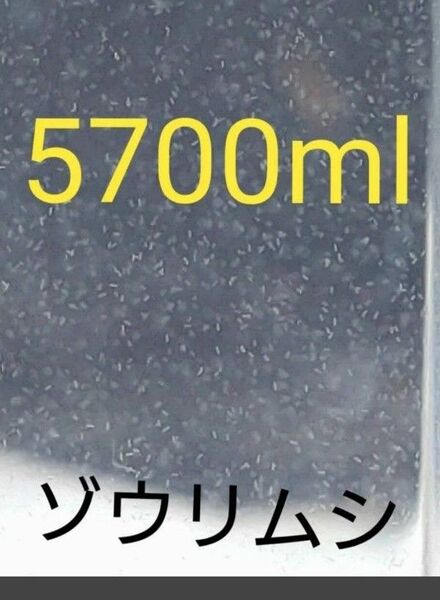 魚のエサ 5700ml。ペットボトル発送1900ml×3本。ゾウリムシ メダカ 金魚 ミジンコ グリーンウォーター PSB