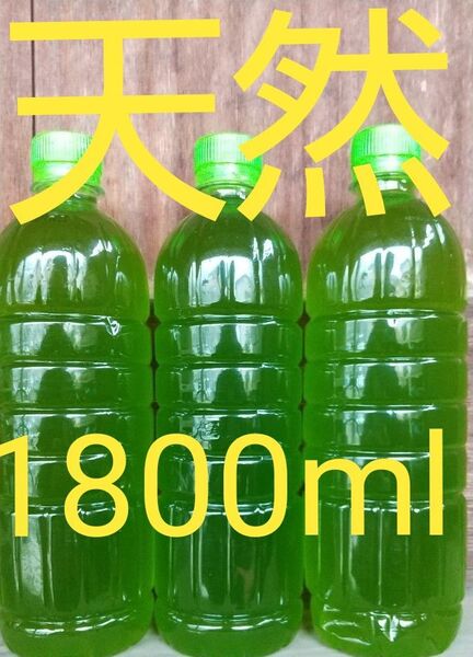 安心安全な天然 グリーンウォーター(青水、種水) 1800ml。ペットボトル発送。金魚・ メダカ ゾウリムシ ミジンコ めだか