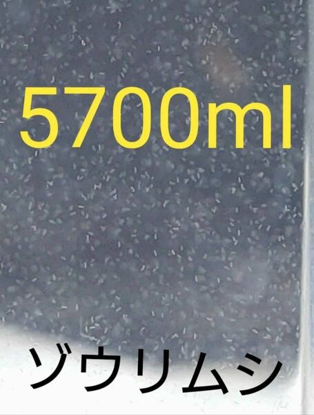 魚のエサ 5700ml。ペットボトル発送1900ml×3本。ゾウリムシ メダカ 金魚 ミジンコ グリーンウォーター PSB