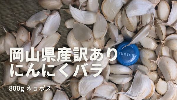 岡山県産 無農薬 訳あり 乾燥にんにく バラ 800g ネコポス