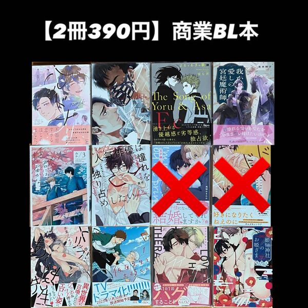 【2冊390円】商業BL本