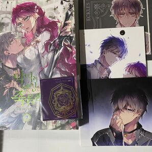 悪役のエンディングは死のみ 韓国マンガ まとめ売り
