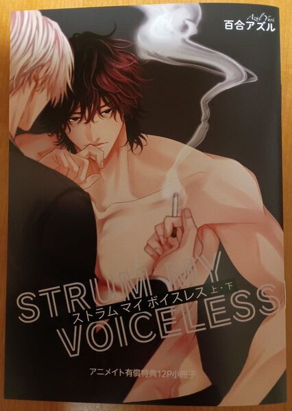 BL 特典のみ 百合アズル ストラム マイ ボイスレス アニメイト 有償特典 12P 小冊子