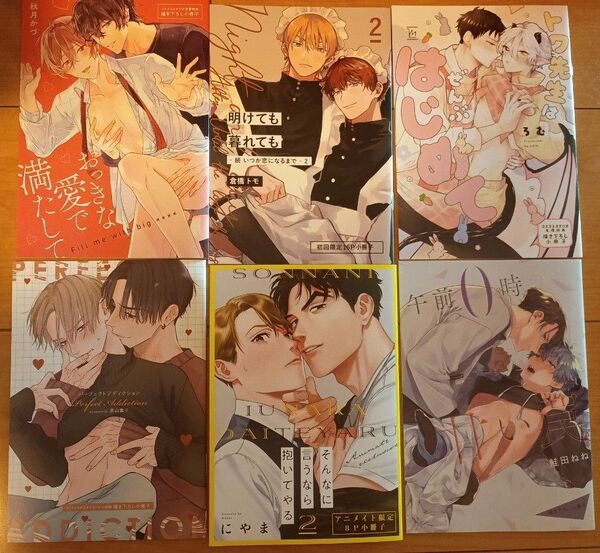 BL 特典のみ にやま そんなに言うなら抱いてやる 2巻 アニメイト 特典 小冊子