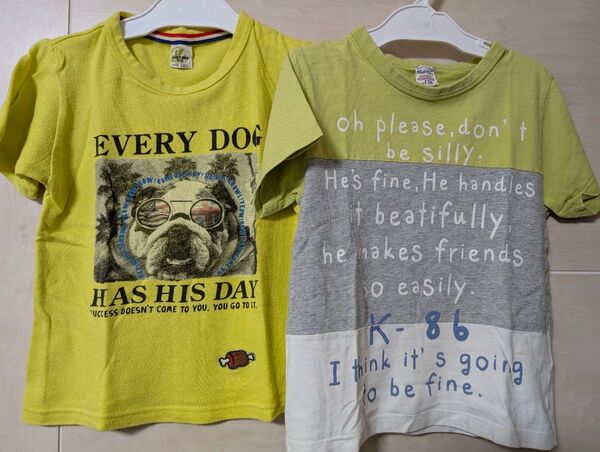 ライトオン ブルドッグプリント ボーダーTシャツ2枚セット 120cm