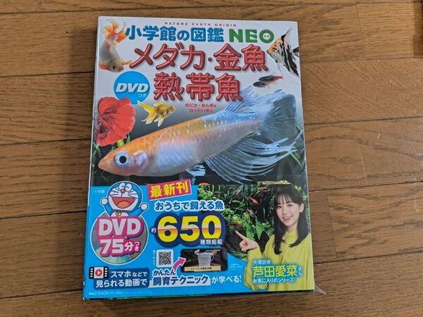 メダカ・金魚熱帯魚 (小学館の図鑑NEO 28)