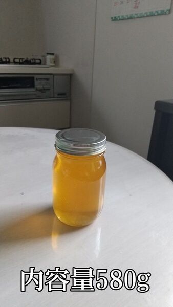 令和7年6月産西洋蜜蜂百花蜜580g